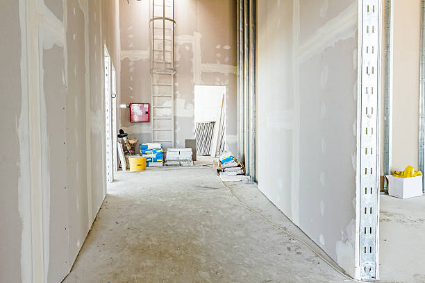 Best Drywall Sanding and Smoothing  in USA